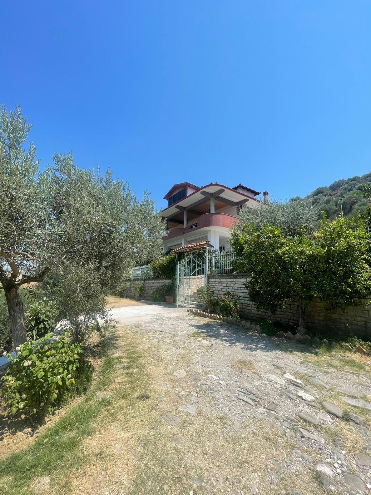 Georgemishel Guest House Berat Zewnętrze zdjęcie